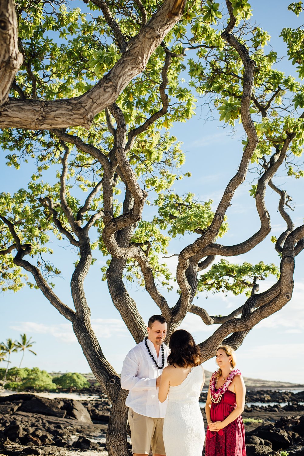 wedding ceremony under a tree by Hawaii elopement photographer