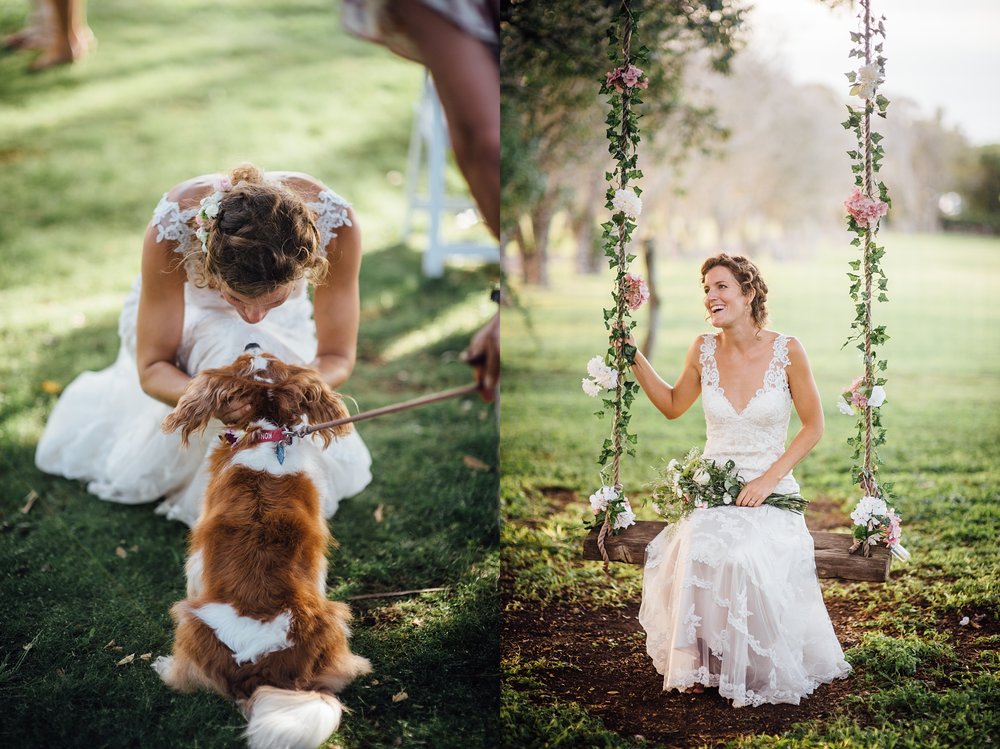 bride with a dog and happily sitting on a swing 