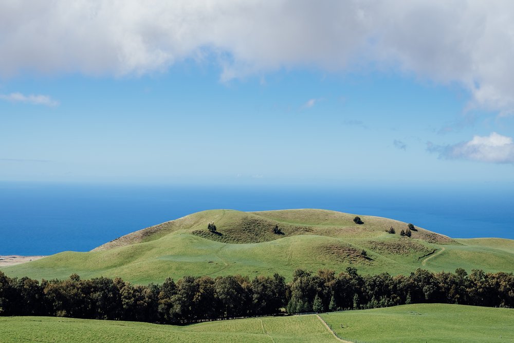 Hawaii hills