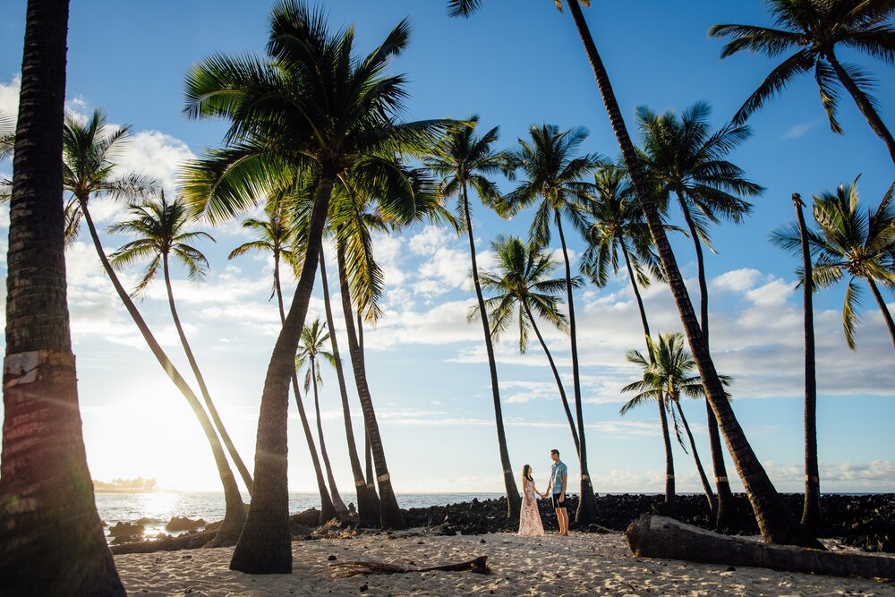 Palm Tree grove at Mahaiula beach; Big Island adventure elopement