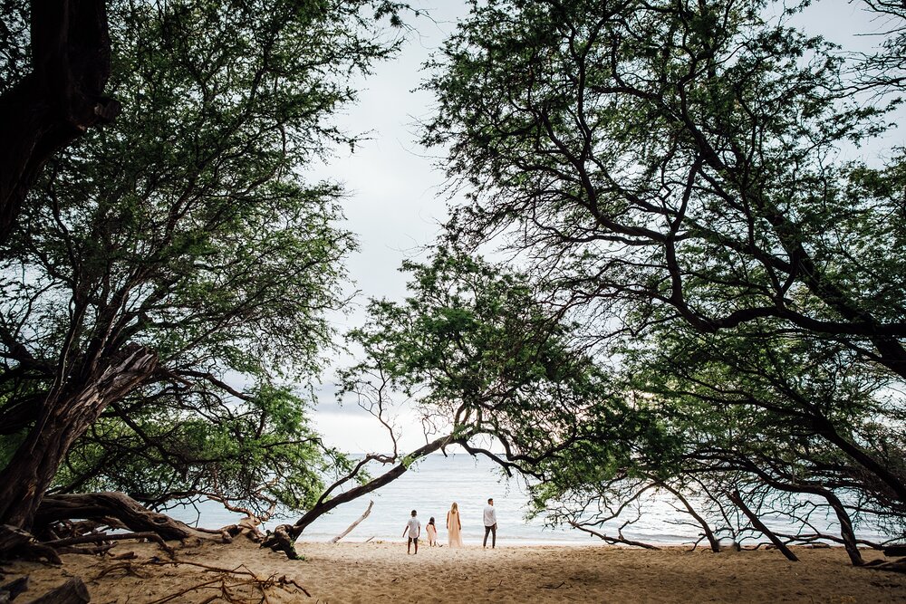 gorgeous family photography under the beach trees