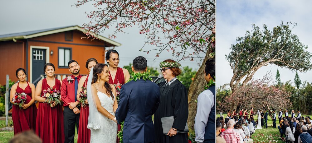 Hawaii Wedding Photographer for Big Island events