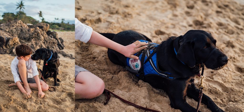 boy with his service dog on the beach