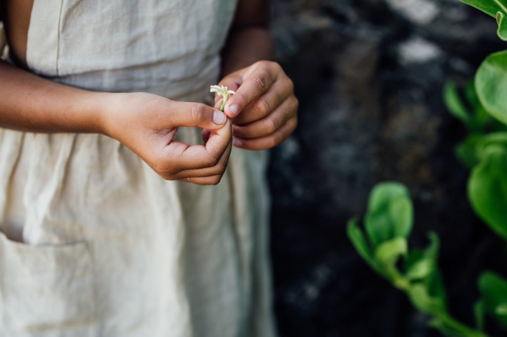 young girl holding a flower by family vacation photographer