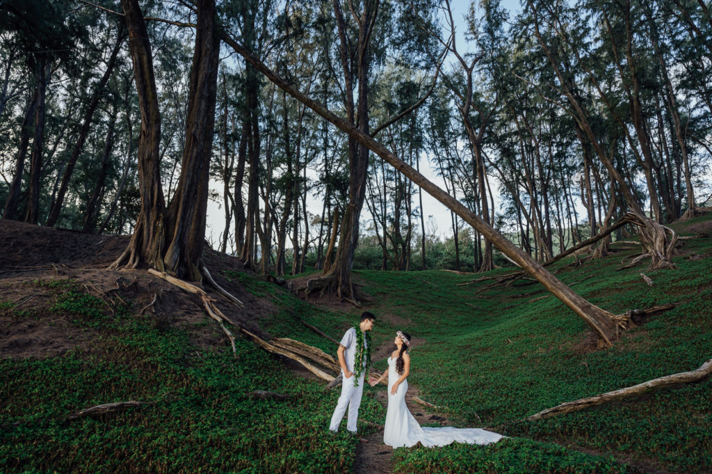 magical moment with the couple on the Big Island valley