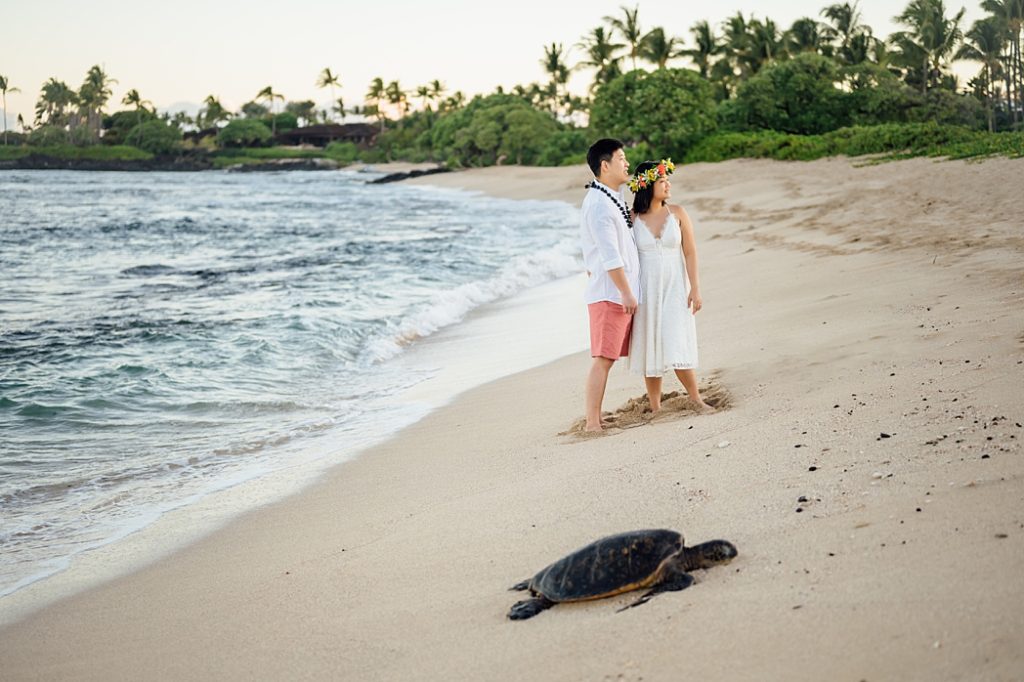 couple joined by a turtle during their Hawaii engagement