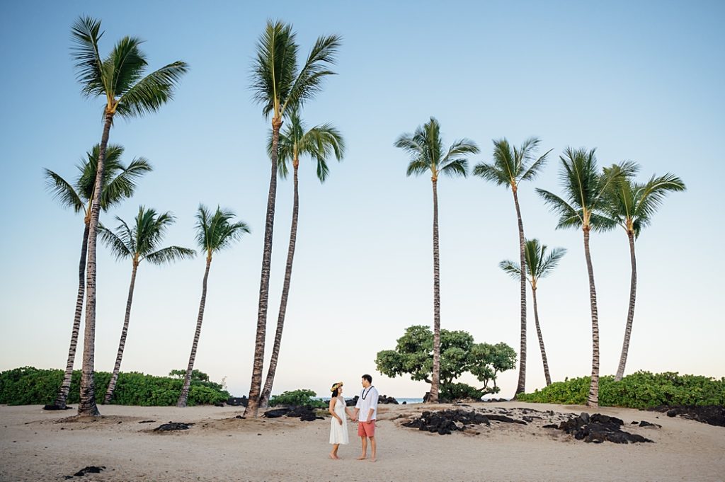 couple holding hands under the palm trees in Hawaii